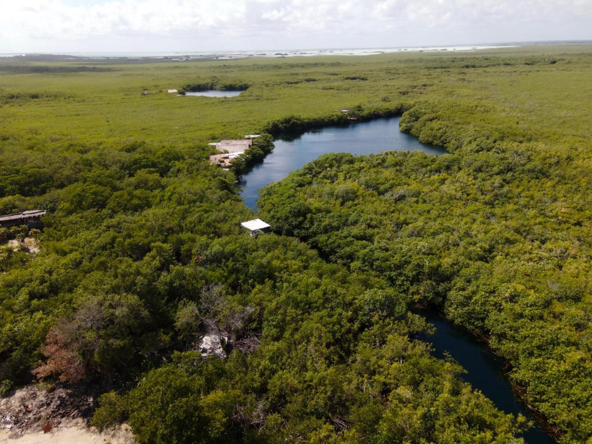 Manglex Eco Hotel Tulum Eksteriør billede