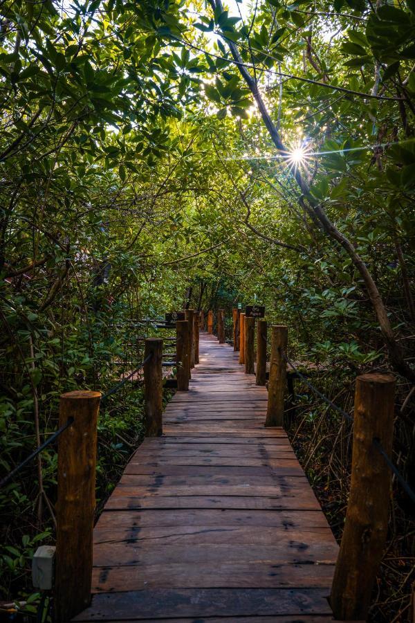 Manglex Eco Hotel Tulum Eksteriør billede