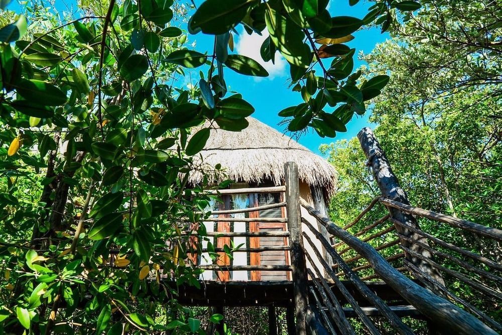 Manglex Eco Hotel Tulum Eksteriør billede