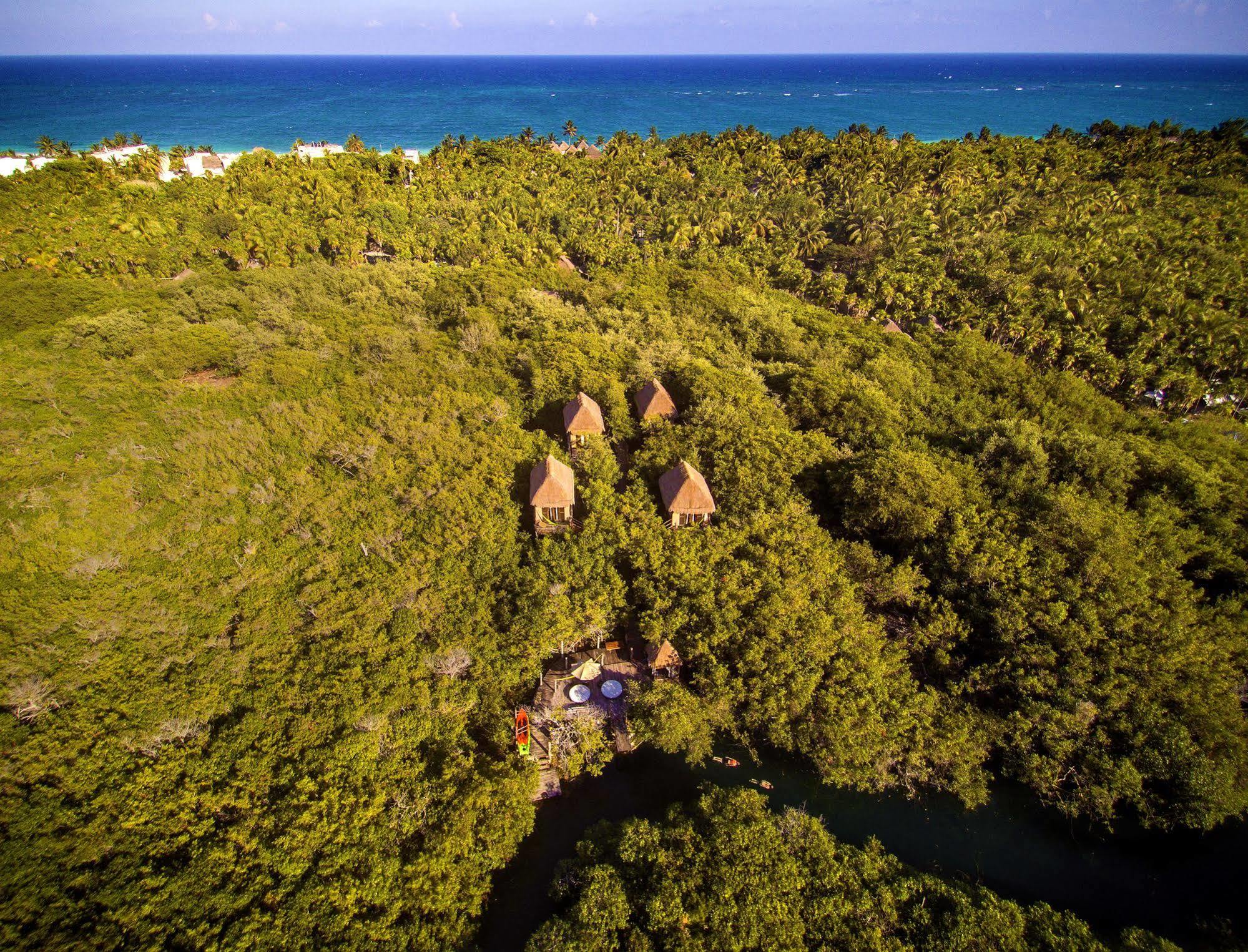Manglex Eco Hotel Tulum Eksteriør billede