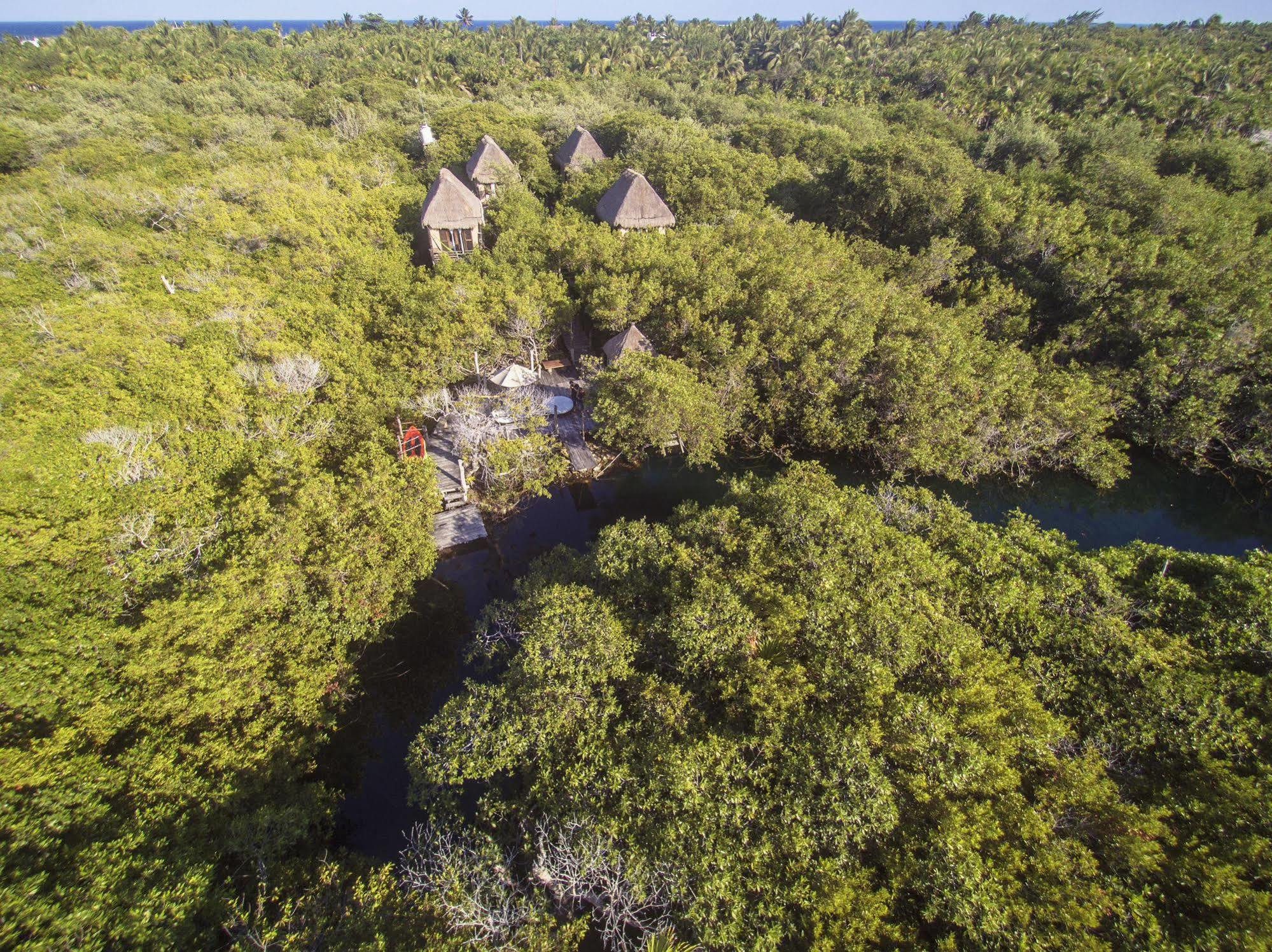 Manglex Eco Hotel Tulum Eksteriør billede