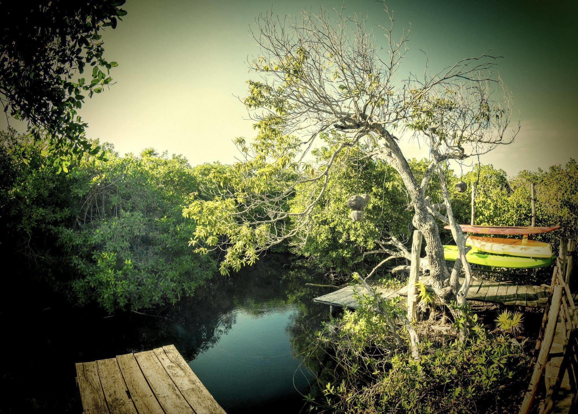 Manglex Eco Hotel Tulum Eksteriør billede