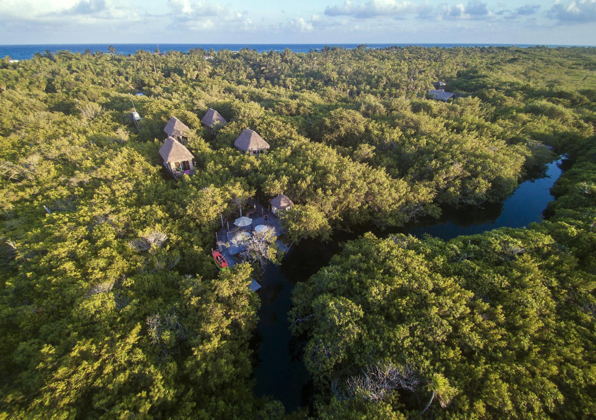 Manglex Eco Hotel Tulum Eksteriør billede