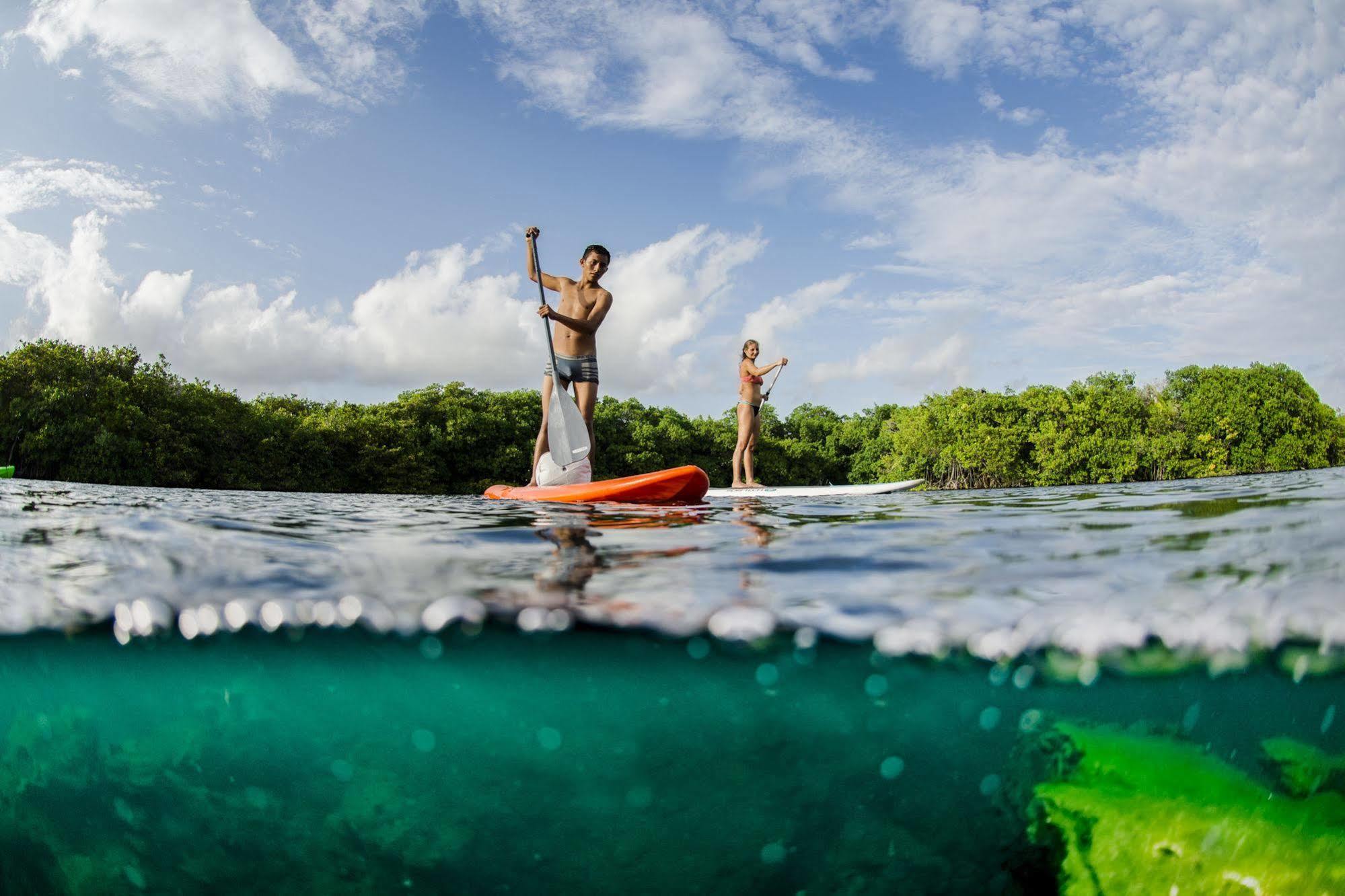 Manglex Eco Hotel Tulum Eksteriør billede