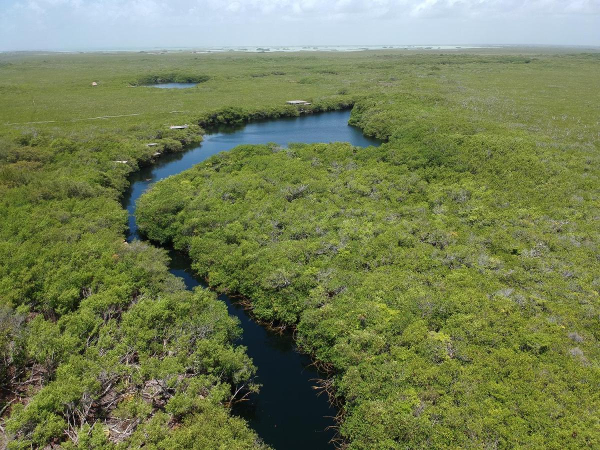 Manglex Eco Hotel Tulum Eksteriør billede
